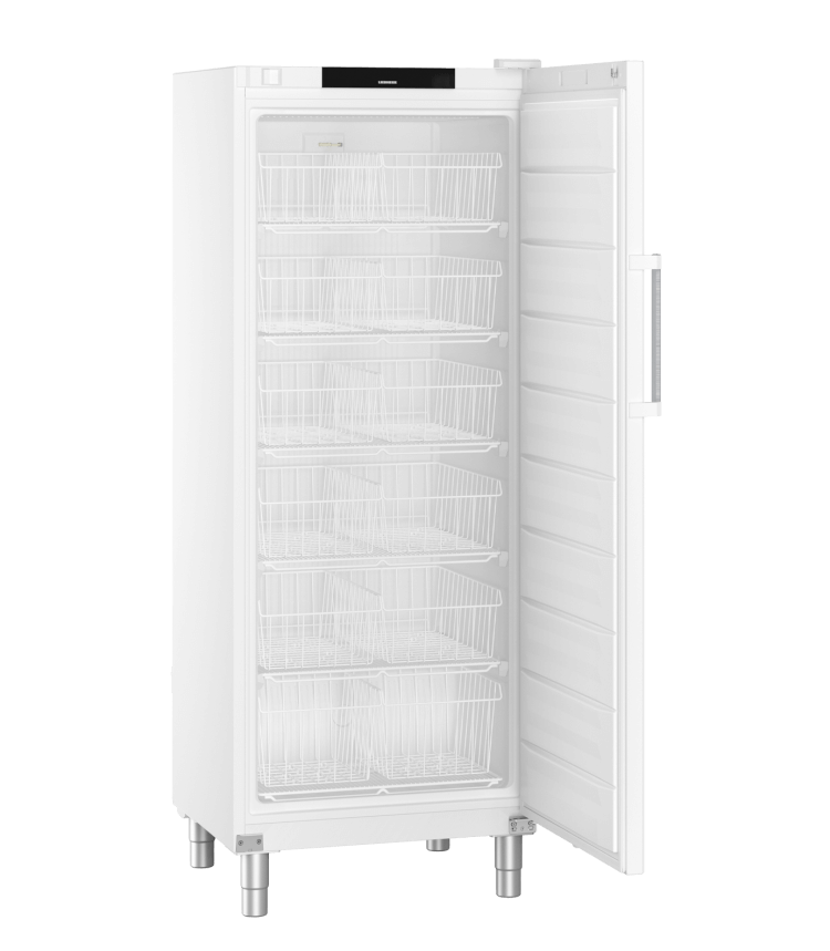 Vrieskast FFFsg 6501 Performance